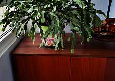 Тумба для обуви КМ-1 BMS